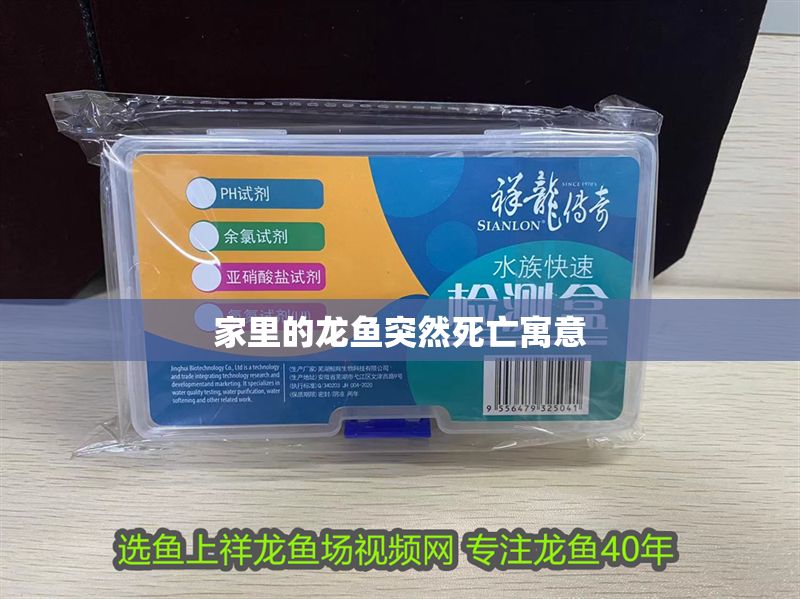 家里的龍魚突然死亡寓意
