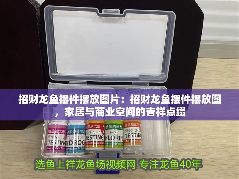 招財龍魚擺件擺放圖片：招財龍魚擺件擺放圖，家居與商業(yè)空間的吉祥點(diǎn)綴