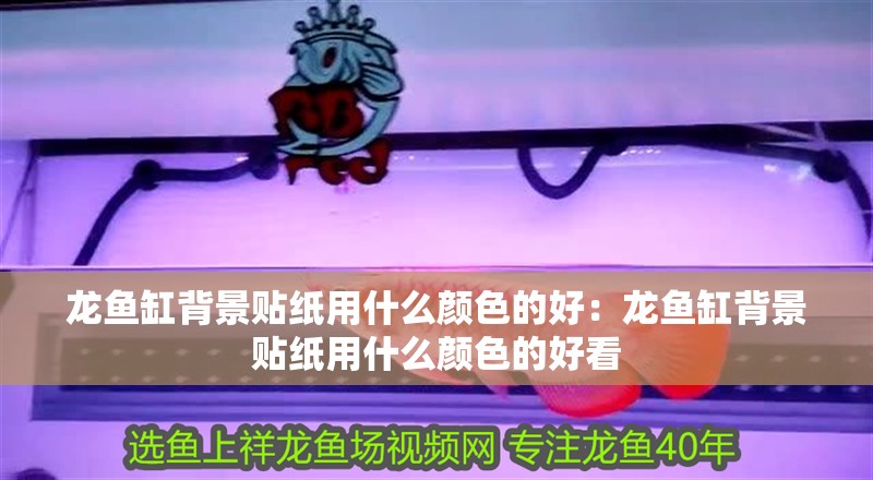 龍魚缸背景貼紙用什么顏色的好：龍魚缸背景貼紙用什么顏色的好看