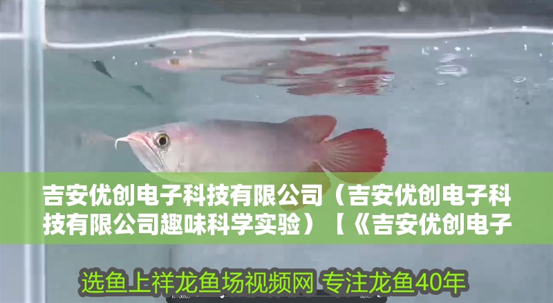 吉安優(yōu)創(chuàng)電子科技有限公司（吉安優(yōu)創(chuàng)電子科技有限公司趣味科學(xué)實(shí)驗(yàn)）【《吉安優(yōu)創(chuàng)電子科技有限公司的趣味科學(xué)實(shí)驗(yàn)》】