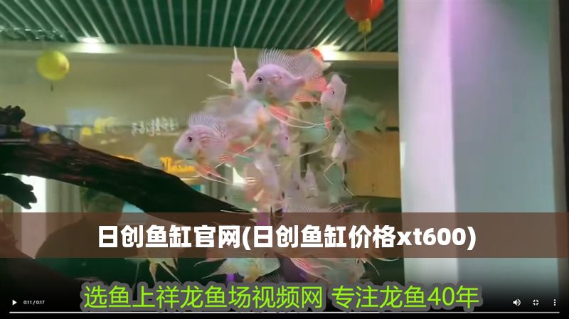 日創(chuàng)魚缸官網(wǎng)(日創(chuàng)魚缸價(jià)格xt600)