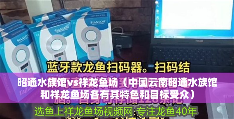 昭通水族館vs祥龍魚場(中國云南昭通水族館和祥龍魚場各有其特色和目標受眾) 全國水族館企業(yè)名錄 第3張 昭通水族館vs祥龍魚場(中國云南昭通水族館和祥龍魚場各有其特色和目標受眾) 昭通水族館vs祥龍魚場(中國云南昭通水族館和祥龍魚場各有其特色和目標受眾) 全國水族館企業(yè)名錄 第3張