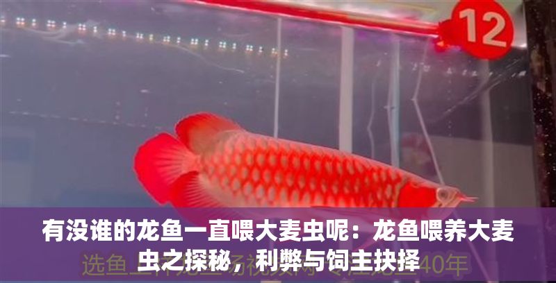 有沒誰的龍魚一直喂大麥蟲呢：龍魚喂養大麥蟲之探秘，利弊與飼主抉擇