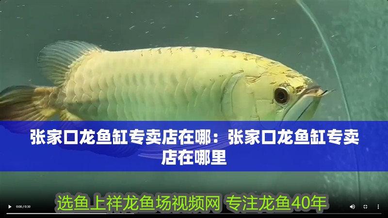 張家口龍魚缸專賣店在哪：張家口龍魚缸專賣店在哪里 張家口龍魚缸專賣店在哪：張家口龍魚缸專賣店在哪里 水族問答