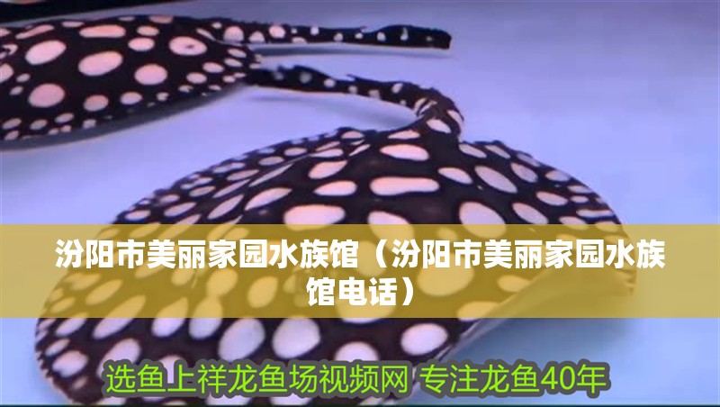 汾陽(yáng)市美麗家園水族館（汾陽(yáng)市美麗家園水族館電話）