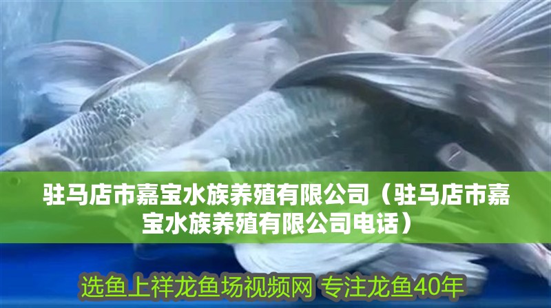 駐馬店市嘉寶水族養(yǎng)殖有限公司（駐馬店市嘉寶水族養(yǎng)殖有限公司電話）