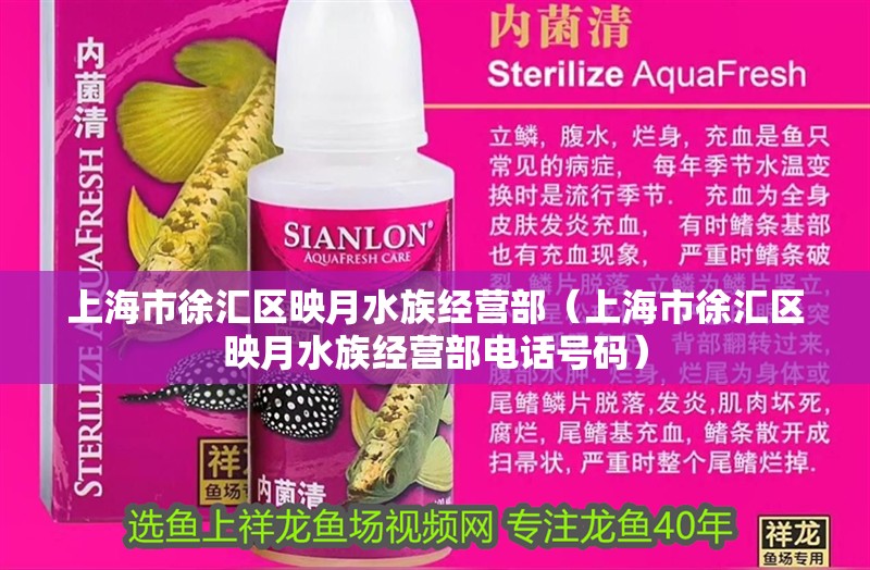 上海市徐匯區(qū)映月水族經(jīng)營部（上海市徐匯區(qū)映月水族經(jīng)營部電話號碼） 上海市徐匯區(qū)映月水族經(jīng)營部（上海市徐匯區(qū)映月水族經(jīng)營部電話號碼） 全國水族館企業(yè)名錄 第1張