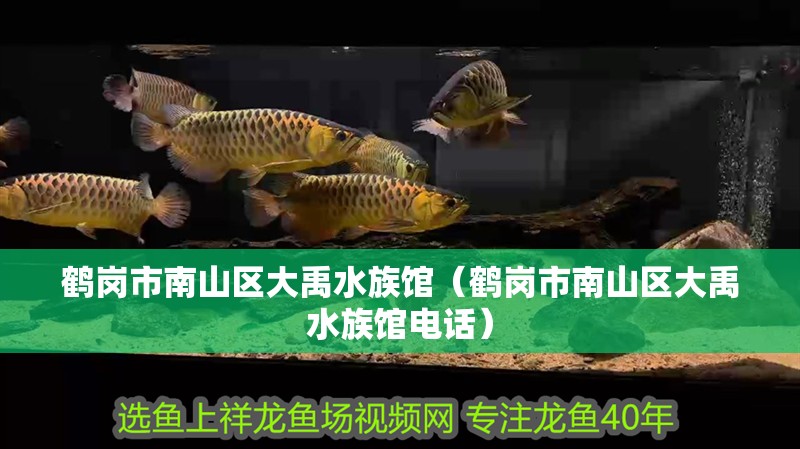 鶴崗市南山區(qū)大禹水族館（鶴崗市南山區(qū)大禹水族館電話）