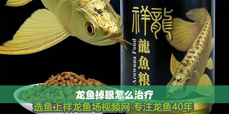 龍魚掉眼怎么治療