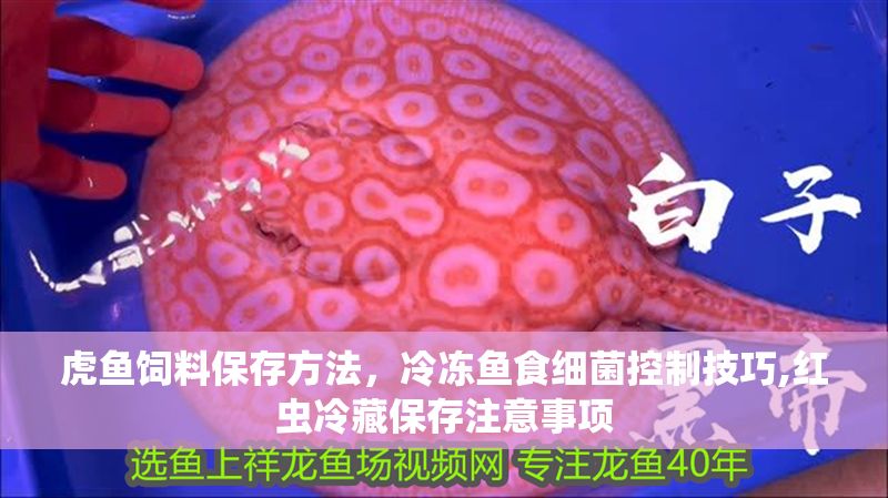 虎魚(yú)飼料保存方法，冷凍魚(yú)食細(xì)菌控制技巧,紅蟲(chóng)冷藏保存注意事項(xiàng)