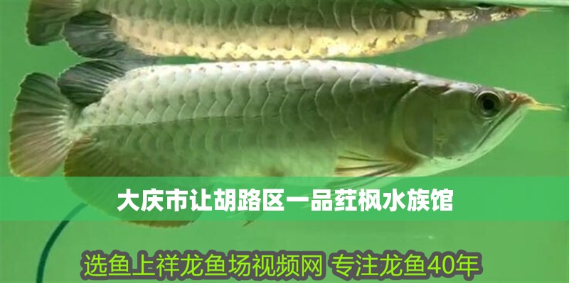 大慶市讓胡路區(qū)一品葒楓水族館 全國(guó)水族館企業(yè)名錄 第1張 大慶市讓胡路區(qū)一品葒楓水族館 大慶市讓胡路區(qū)一品葒楓水族館 全國(guó)水族館企業(yè)名錄 第1張