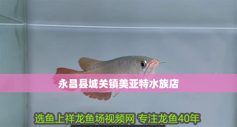 永昌縣城關鎮美亞特水族店