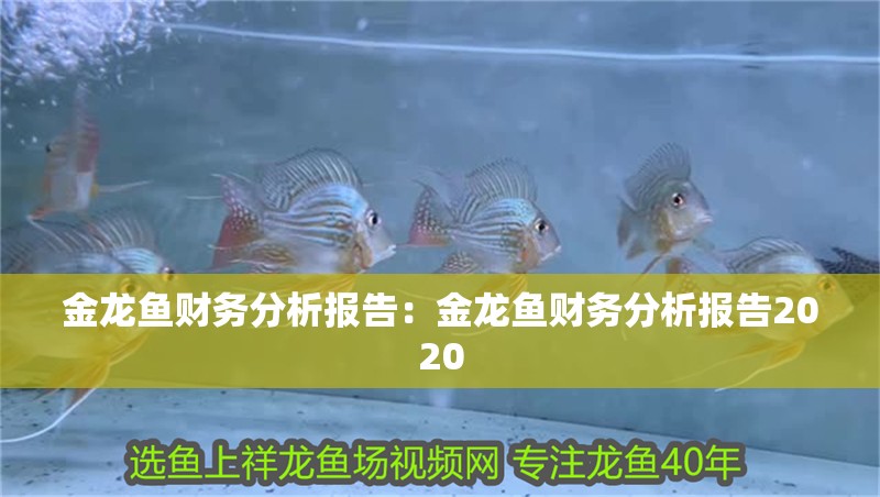金龍魚財(cái)務(wù)分析報(bào)告：金龍魚財(cái)務(wù)分析報(bào)告2020
