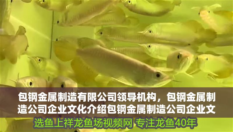 包鋼金屬制造有限公司領導機構，包鋼金屬制造公司企業文化介紹包鋼金屬制造公司企業文化介紹