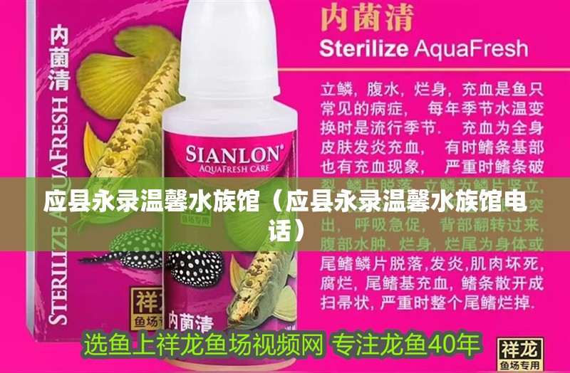 應縣永錄溫馨水族館（應縣永錄溫馨水族館電話）