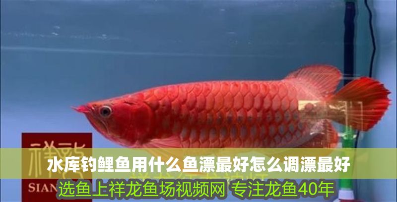 水庫釣鯉魚用什么魚漂最好怎么調(diào)漂最好