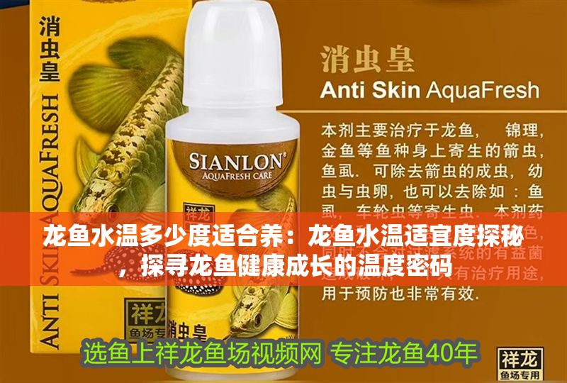 龍魚水溫多少度適合養：龍魚水溫適宜度探秘，探尋龍魚健康成長的溫度密碼