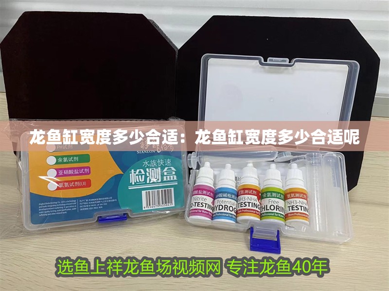 龍魚缸寬度多少合適：龍魚缸寬度多少合適呢 龍魚缸寬度多少合適：龍魚缸寬度多少合適呢 水族問答