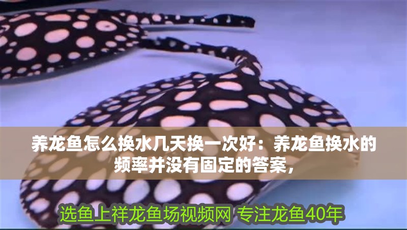 養(yǎng)龍魚怎么換水幾天換一次好：養(yǎng)龍魚換水的頻率并沒有固定的答案， 養(yǎng)龍魚怎么換水幾天換一次好：養(yǎng)龍魚換水的頻率并沒有固定的答案， 龍魚百科 第2張