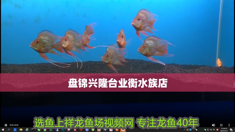 盤錦興隆臺業衡水族店