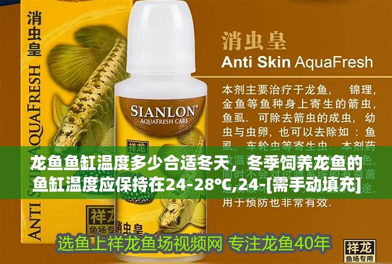 龍魚魚缸溫度多少合適冬天，冬季飼養龍魚的魚缸溫度應保持在24-28℃,24-[需手動填充] 龍魚魚缸溫度多少合適冬天，冬季飼養龍魚的魚缸溫度應保持在24-28℃,24-[需手動填充] 魚缸百科 第2張