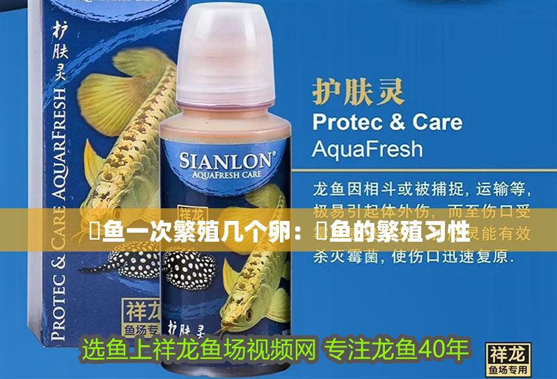 魟魚一次繁殖幾個卵：魟魚的繁殖習性