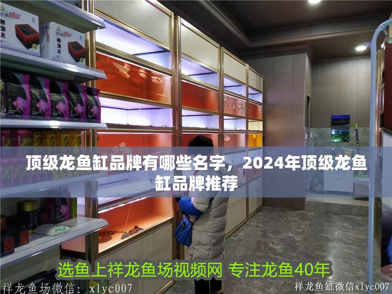 頂級龍魚缸品牌有哪些名字，2024年頂級龍魚缸品牌推薦
