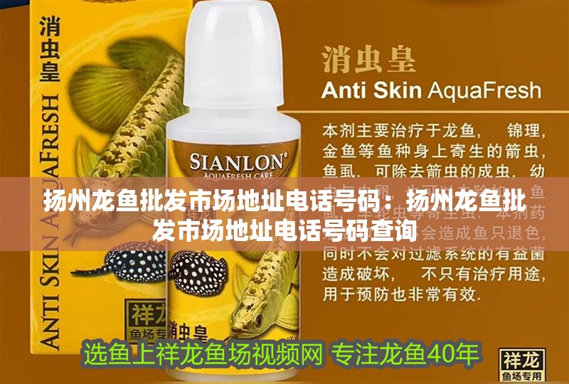 揚(yáng)州龍魚(yú)批發(fā)市場(chǎng)地址電話號(hào)碼：揚(yáng)州龍魚(yú)批發(fā)市場(chǎng)地址電話號(hào)碼查詢