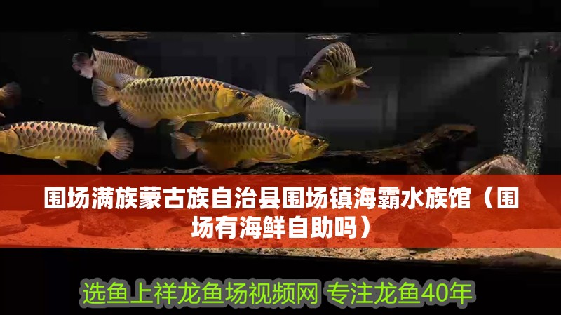 圍場滿族蒙古族自治縣圍場鎮海霸水族館（圍場有海鮮自助嗎）