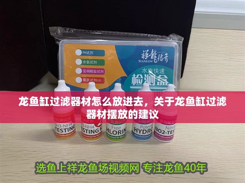 龍魚缸過濾器材怎么放進去，關于龍魚缸過濾器材擺放的建議