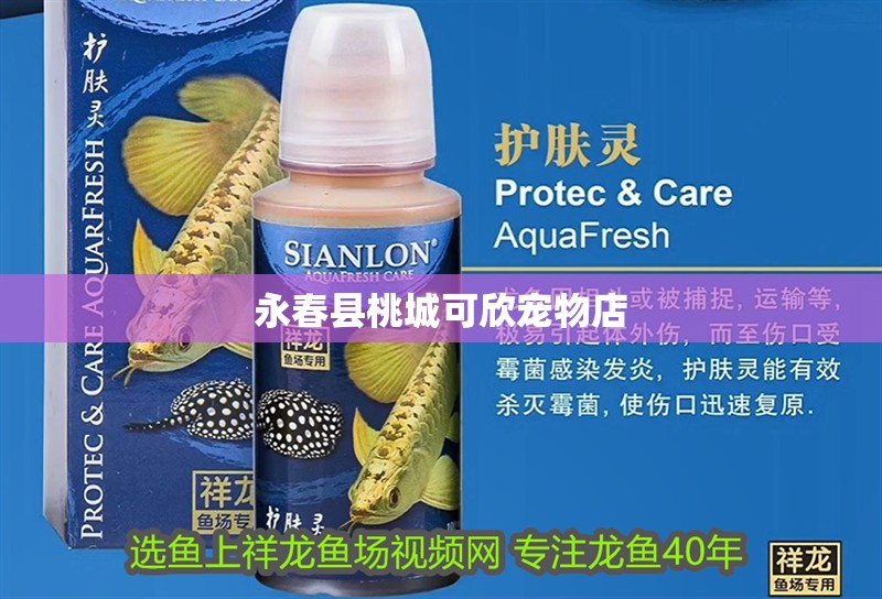 永春縣桃城可欣寵物店 永春縣桃城可欣寵物店 全國水族館企業名錄 第2張