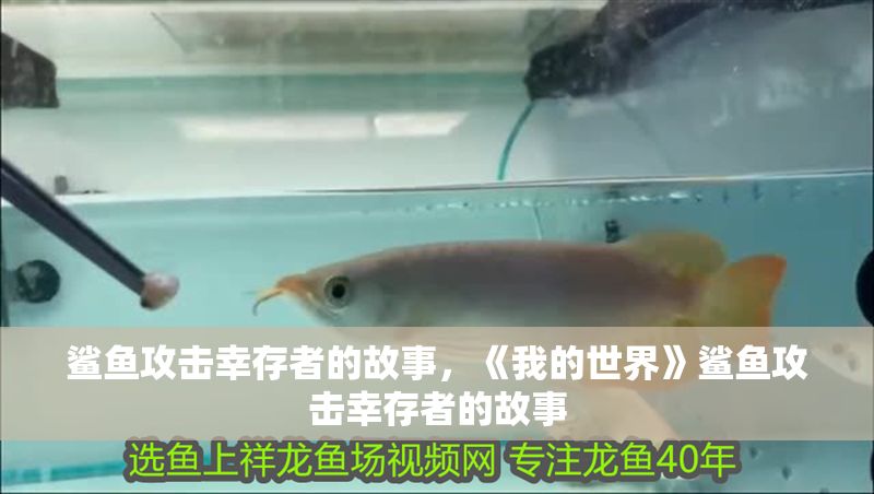鯊魚攻擊幸存者的故事，《我的世界》鯊魚攻擊幸存者的故事