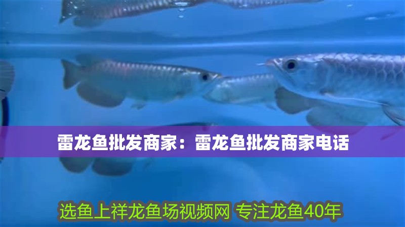 雷龍魚批發商家：雷龍魚批發商家電話