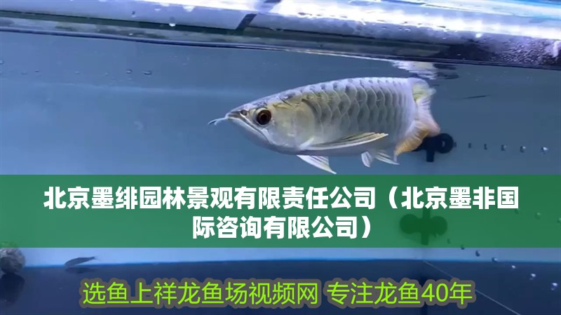 北京墨緋園林景觀有限責(zé)任公司（北京墨非國(guó)際咨詢有限公司）