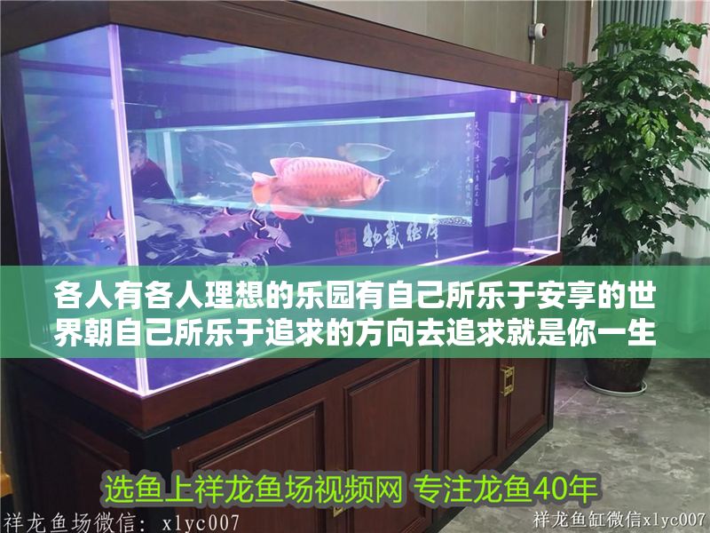 各人有各人理想的樂園有自己所樂于安享的世界朝自己所樂于追求的方向去追求就是你一生的道