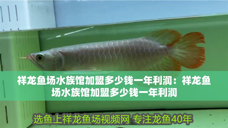 祥龍魚場水族館加盟多少錢一年利潤：祥龍魚場水族館加盟多少錢一年利潤