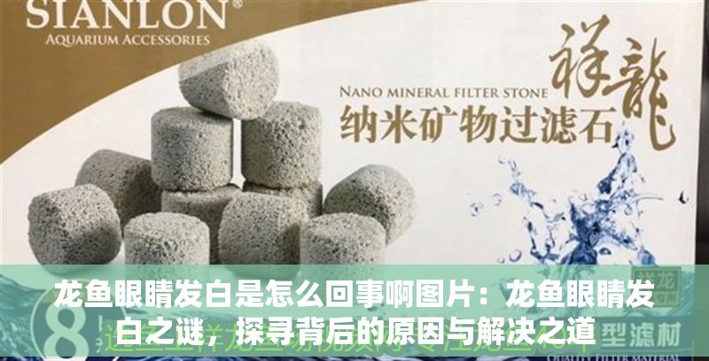 龍魚眼睛發白是怎么回事啊圖片：龍魚眼睛發白之謎，探尋背后的原因與解決之道