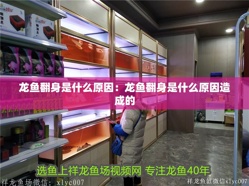 龍魚翻身是什么原因：龍魚翻身是什么原因造成的