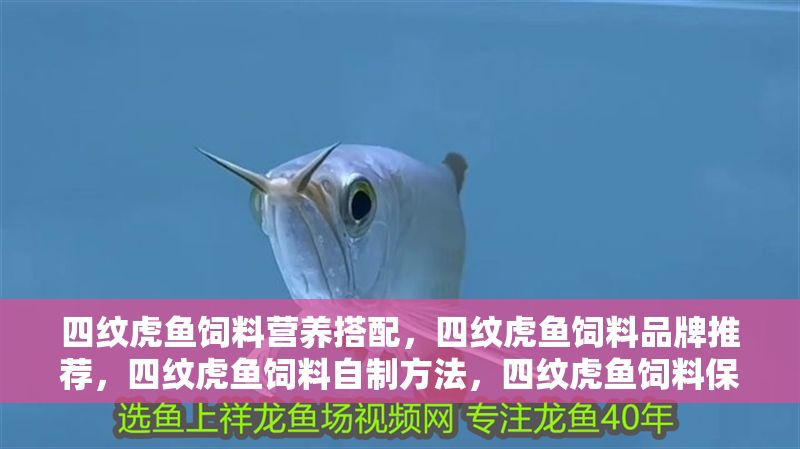 四紋虎魚飼料營養搭配，四紋虎魚飼料品牌推薦，四紋虎魚飼料自制方法，四紋虎魚飼料保存指南