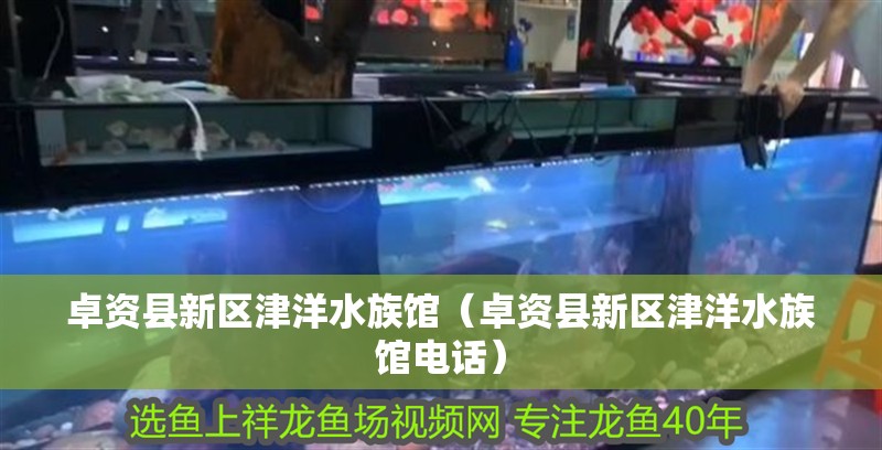 卓資縣新區津洋水族館（卓資縣新區津洋水族館電話） 卓資縣新區津洋水族館（卓資縣新區津洋水族館電話） 全國水族館企業名錄 第1張