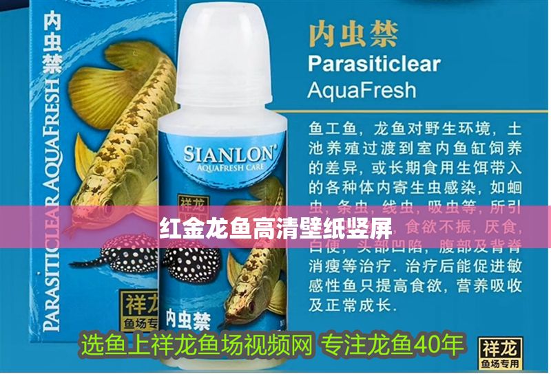 紅金龍魚高清壁紙豎屏