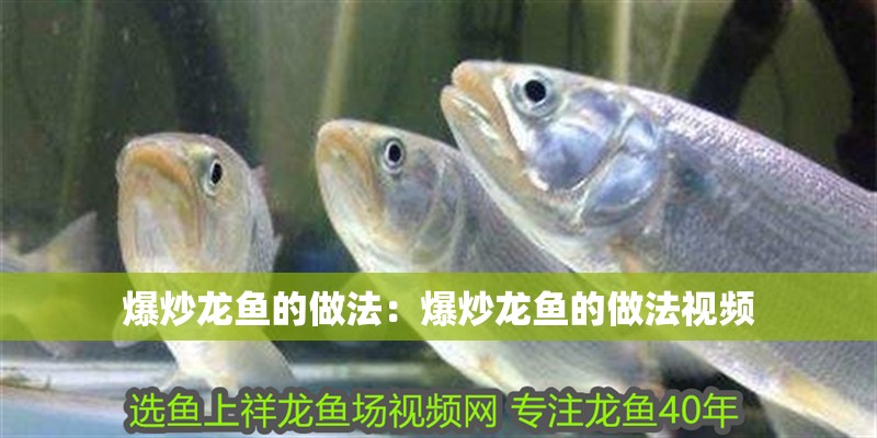 爆炒龍魚的做法：爆炒龍魚的做法視頻 爆炒龍魚的做法：爆炒龍魚的做法視頻 水族問答 第2張