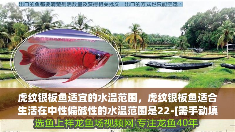 虎紋銀板魚適宜的水溫范圍，虎紋銀板魚適合生活在中性偏堿性的水溫范圍是22-[需手動填充]