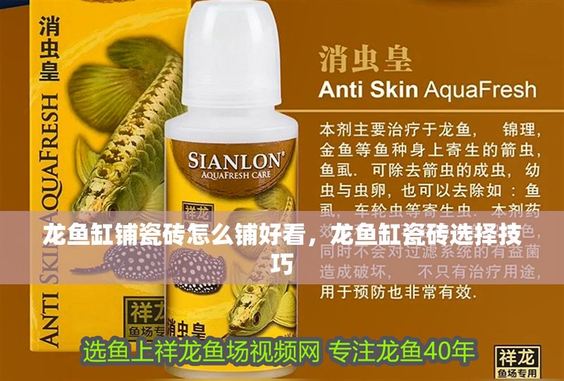 龍魚缸鋪瓷磚怎么鋪好看，龍魚缸瓷磚選擇技巧 龍魚缸鋪瓷磚怎么鋪好看，龍魚缸瓷磚選擇技巧 魚缸百科 第2張