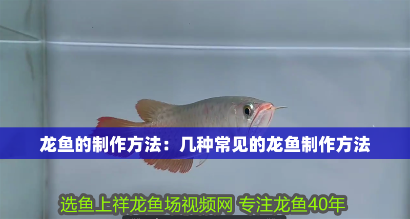 龍魚的制作方法：幾種常見的龍魚制作方法