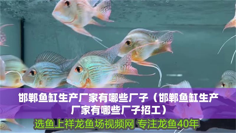 邯鄲魚缸生產廠家有哪些廠子（邯鄲魚缸生產廠家有哪些廠子招工）