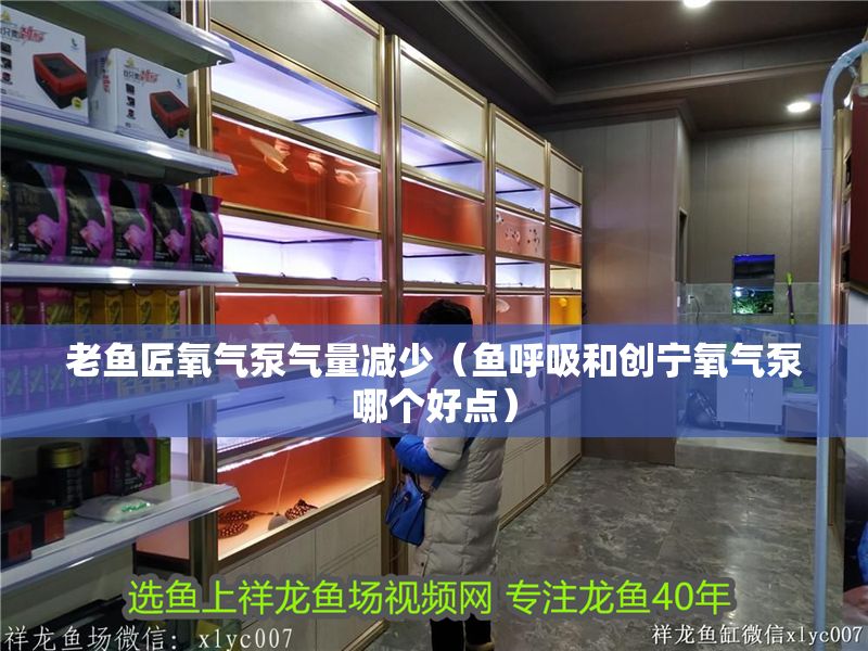 老魚匠氧氣泵氣量減少（魚呼吸和創寧氧氣泵哪個好點） 老魚匠氧氣泵氣量減少（魚呼吸和創寧氧氣泵哪個好點） 魚缸百科 第2張