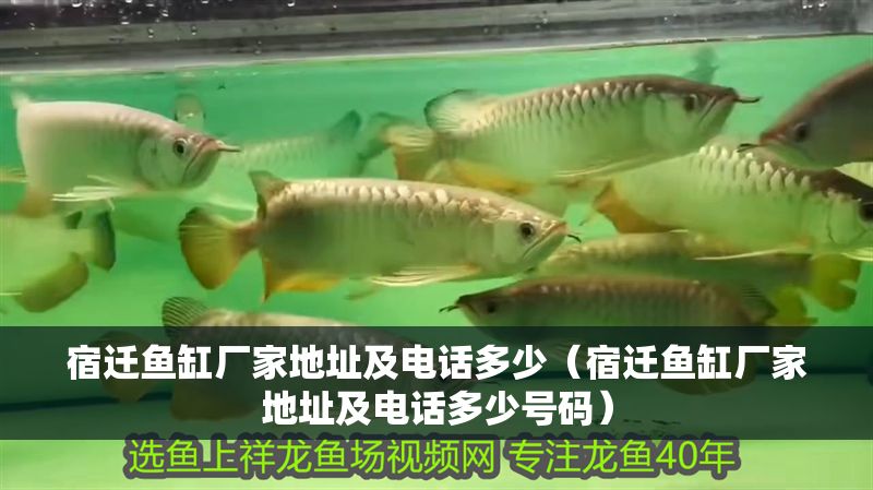 宿遷魚缸廠家地址及電話多少（宿遷魚缸廠家地址及電話多少號碼）