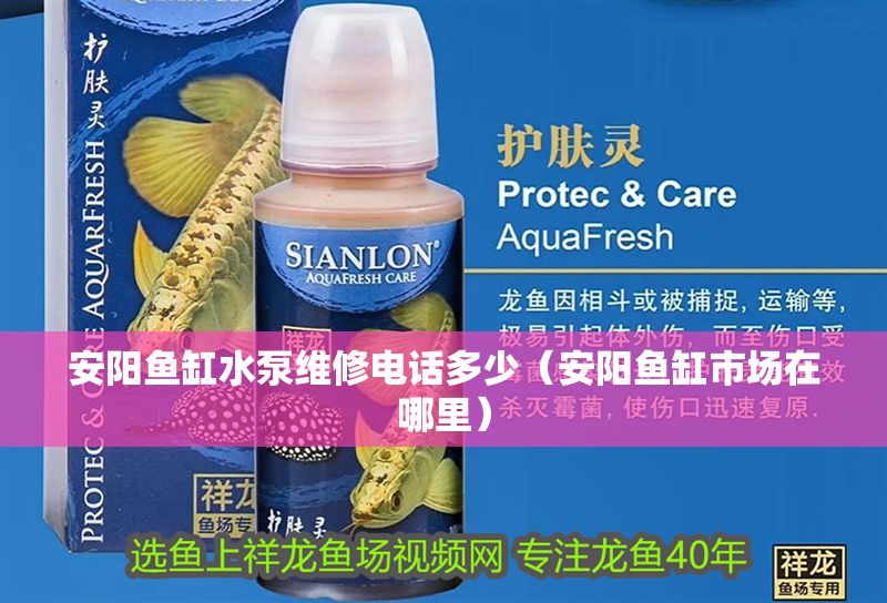 安陽魚缸水泵維修電話多少（安陽魚缸市場在哪里）