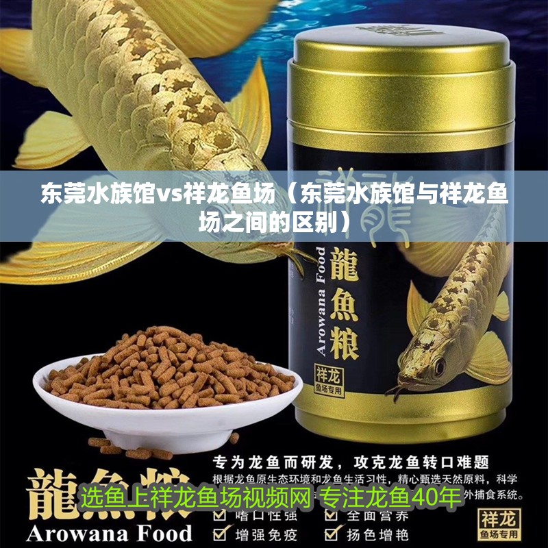 東莞水族館vs祥龍魚場（東莞水族館與祥龍魚場之間的區別）